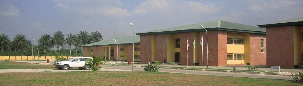 HWokocha's tweet photo. Under @ChibuikeAmaechi Administration, Rivers State children became Lawyers, Doctors, Lecturers, Technicians, Scientists, Athletes, etc,
Public primary schools we see today, their pupils are called Amaechi children,..
#operationKickWikeOut #KICKOUTWIKE #AwaraMoseOfOurTime https://t.co/AC6zbQjdHV
