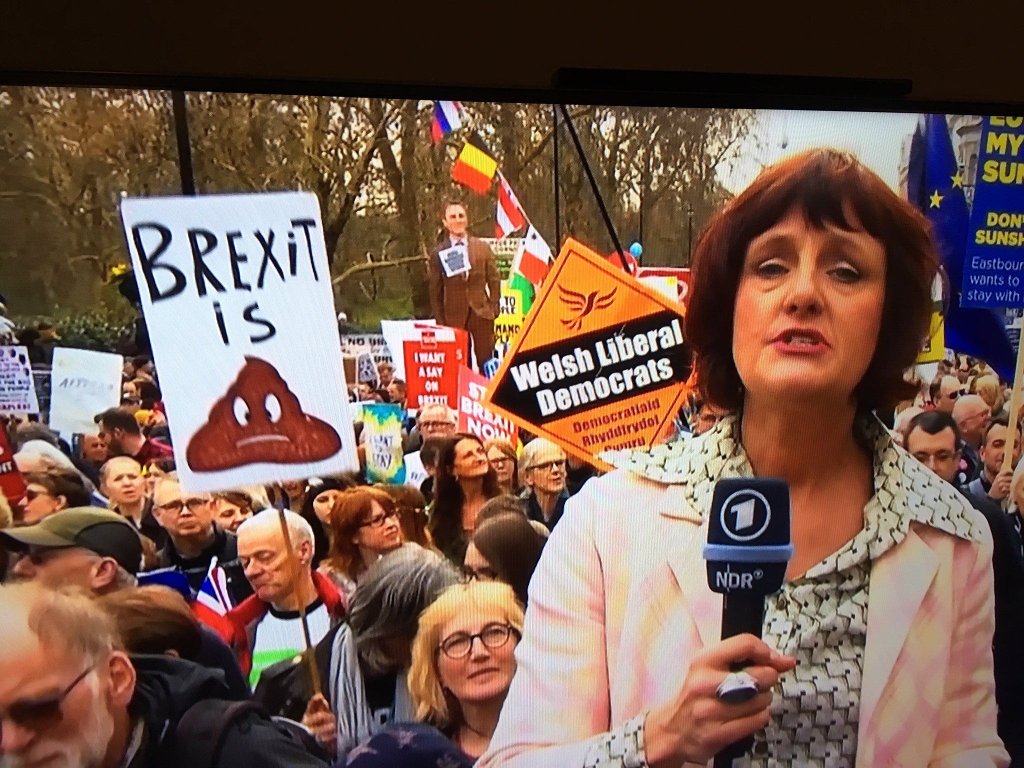 Archie Rhind-Tutt on Twitter: 