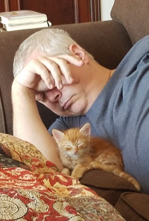 First cat nap.

#newkitten 
#Caturday