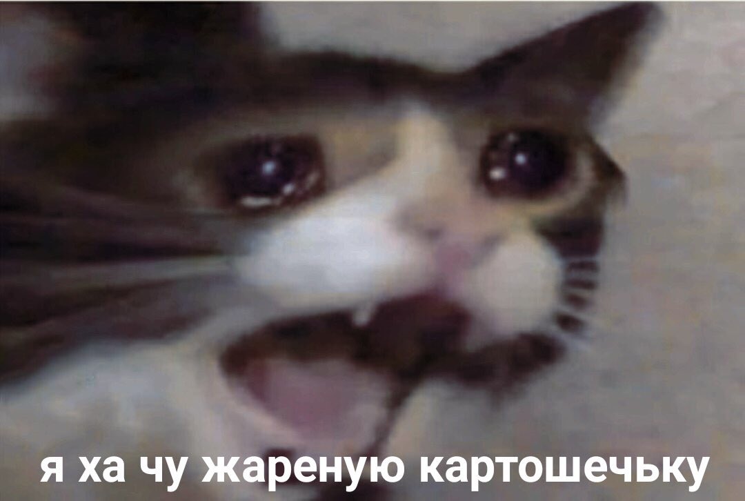 Я: сегодня надо лечь пораньше

*в 3 часа ночи*

Я: