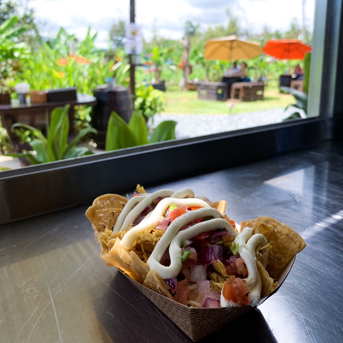 Tu que miras este post, piensas recogerlos o dejar que se enfrien?