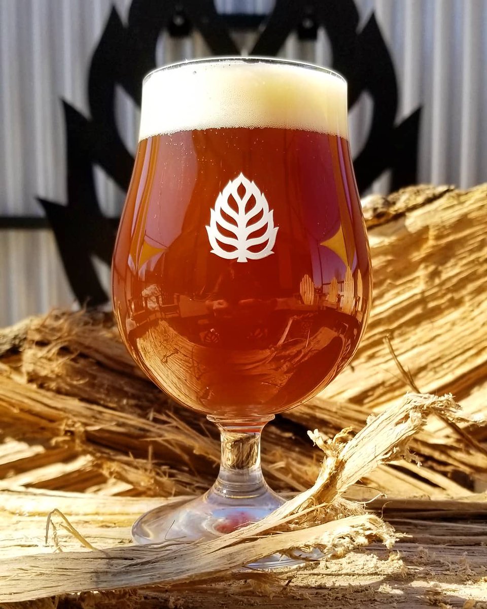 LupulinBrewing's tweet photo. Get caught up in the rapture, Sunday's Bradam is Resin Rapture, aged on oak!
.
Resin Rapture is an 8% ABV Imperial Red IPA, brewed with rich European malts, balancing out over 4 lbs per barrel of Pacific Northwest hops.🌲🌲🌲
.
The taproom will be open 11-6 🍻
.
#BrAdam https://t.co/zobpVcFDEv