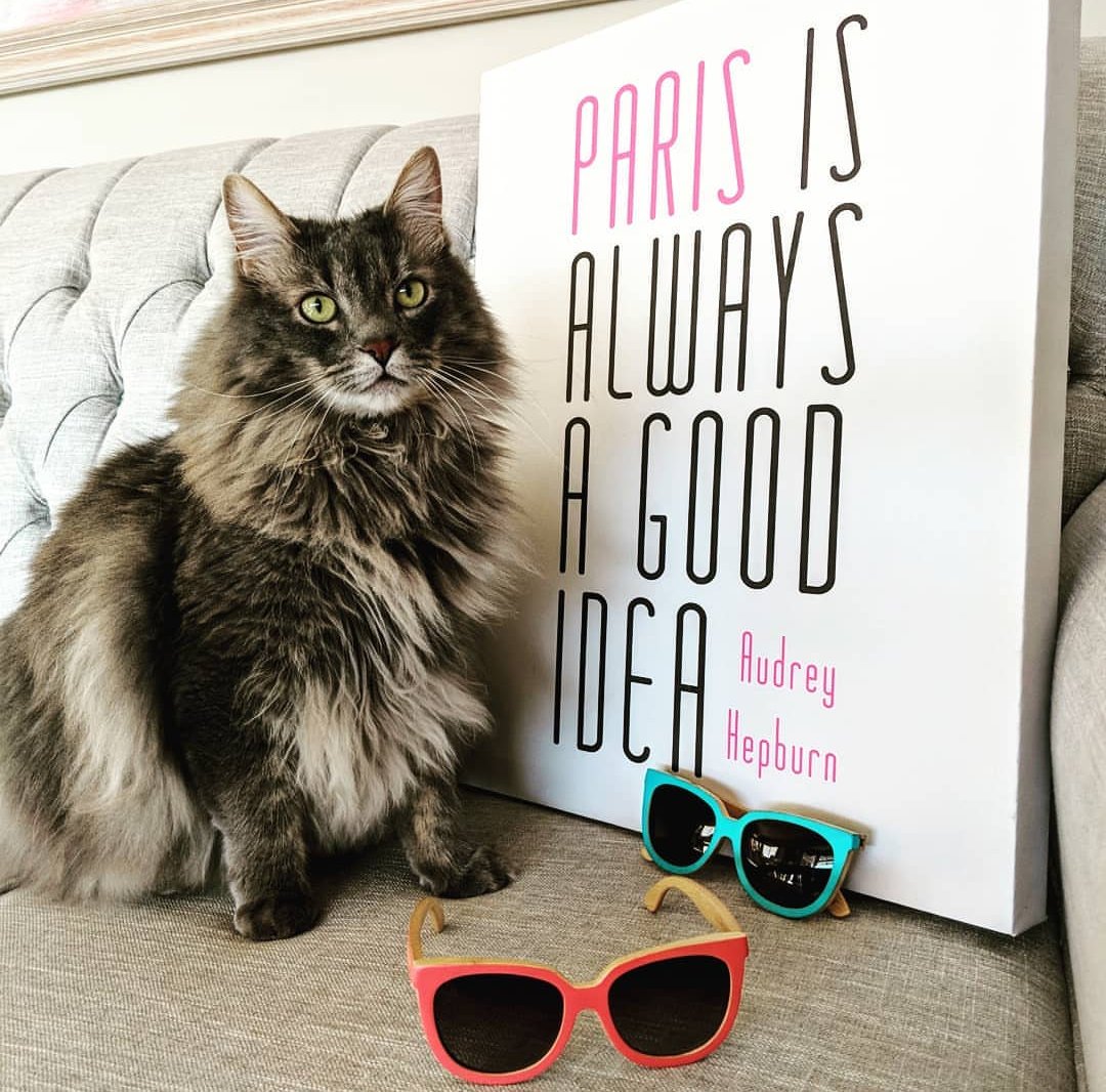 #CatEyes 😻 #TheAudrey 
🛍️ wildwoodeyewear.ca/collections/wo…