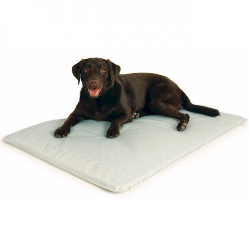 ift.tt/2HDGF69 
Cool Bed III - Small/Original Gray 
#pet #dog #petsupplies #dogsupplies #dogbed #dogcooling #dogcoolingbed #petstore #fullpetstore