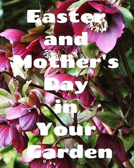 Just warning you.... #mothersday2019 is fast approaching! Check out this eBook by Marie Shallcross at #plews garden design = easy present 😉 ift.tt/2HPg4Cn
