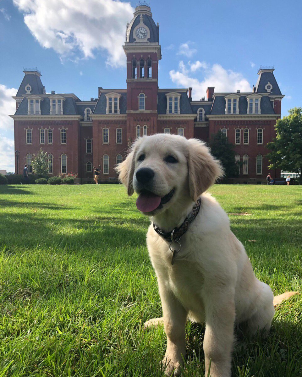 We’re pawsitively sure National Puppy Day is one of the best days of the year. 🐶

📷: giaaaa__ (Instagram)