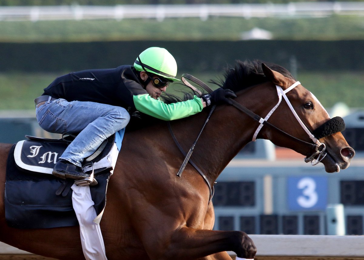 Jeff Metz (@jefflmetz) on Twitter photo Free My Soul worked this morning in preparation for the Providencia Stakes <a href="/santaanitapark/">Santa Anita Park</a>. #JMRacing Free My Soul worked this morning in preparation for the Providencia Stakes <a href="/santaanitapark/">Santa Anita Park</a>. #JMRacing
