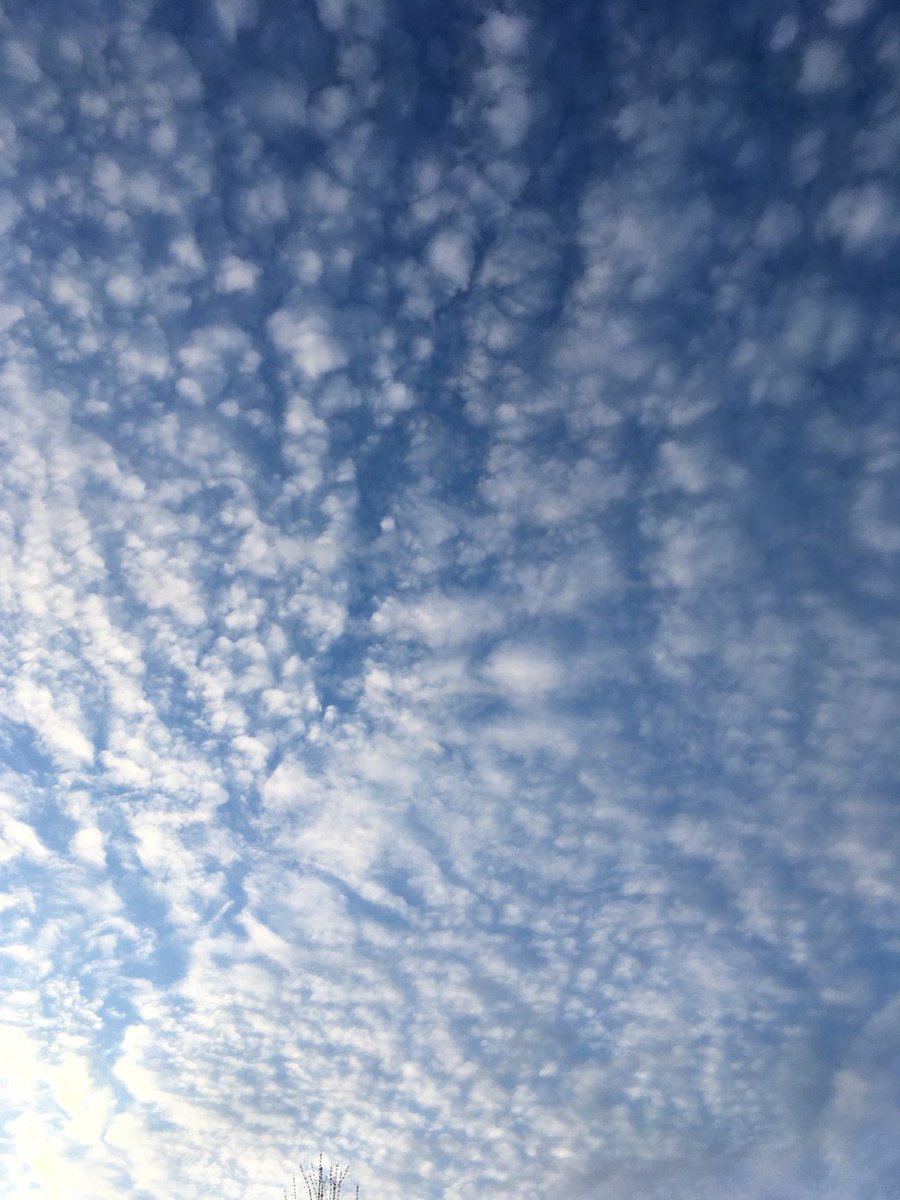 This appears to be an unfortunate but not uncommon occurrence in trademark  law. Tesla publicly announced the name before securing the associated  trademark, creating an opening for a third party to file, image size:900x1200