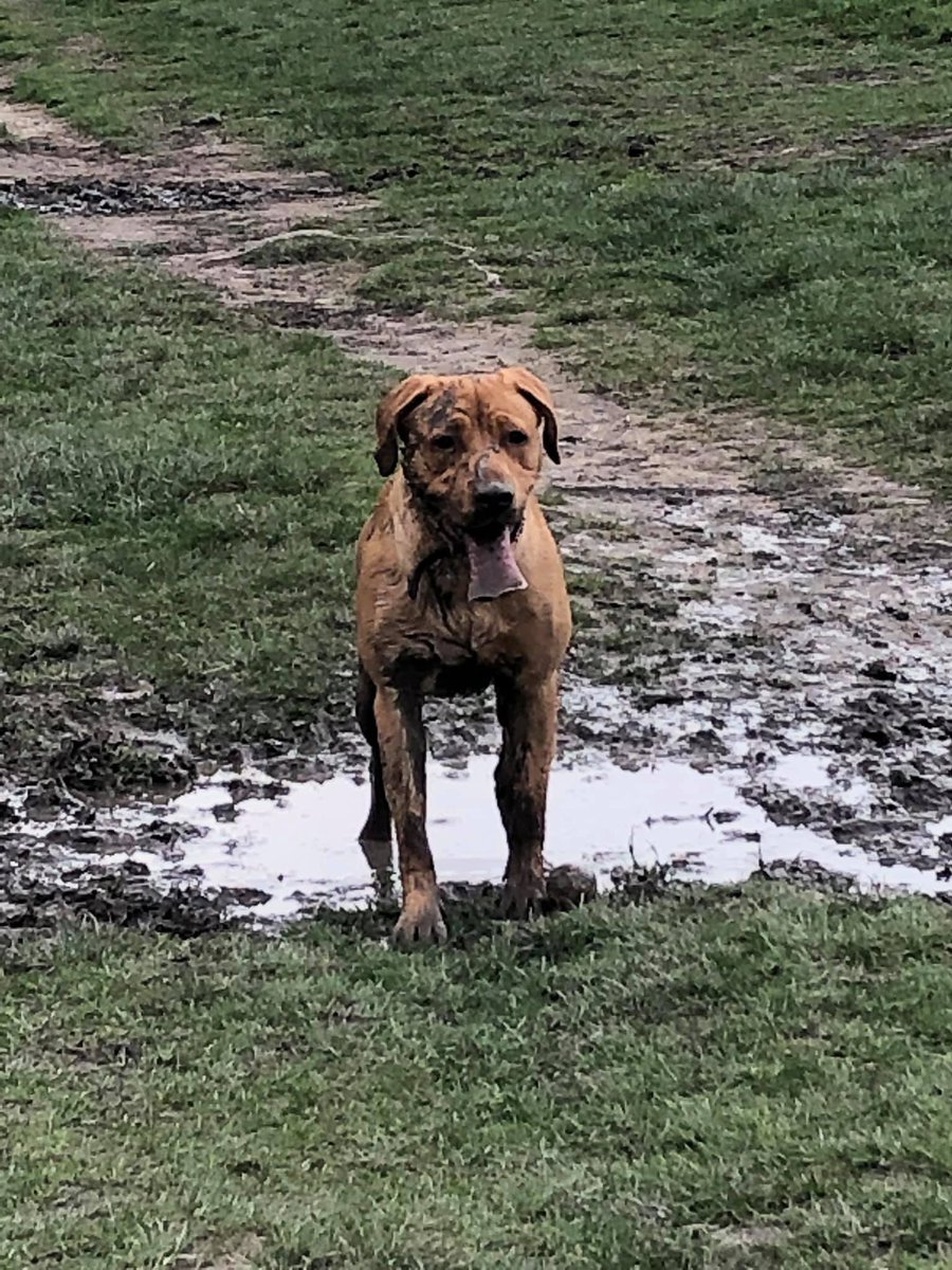 Doitlikedenbo's tweet image. All you need to de stress is family, phone down an out into the real world #redlab #family #Manchester