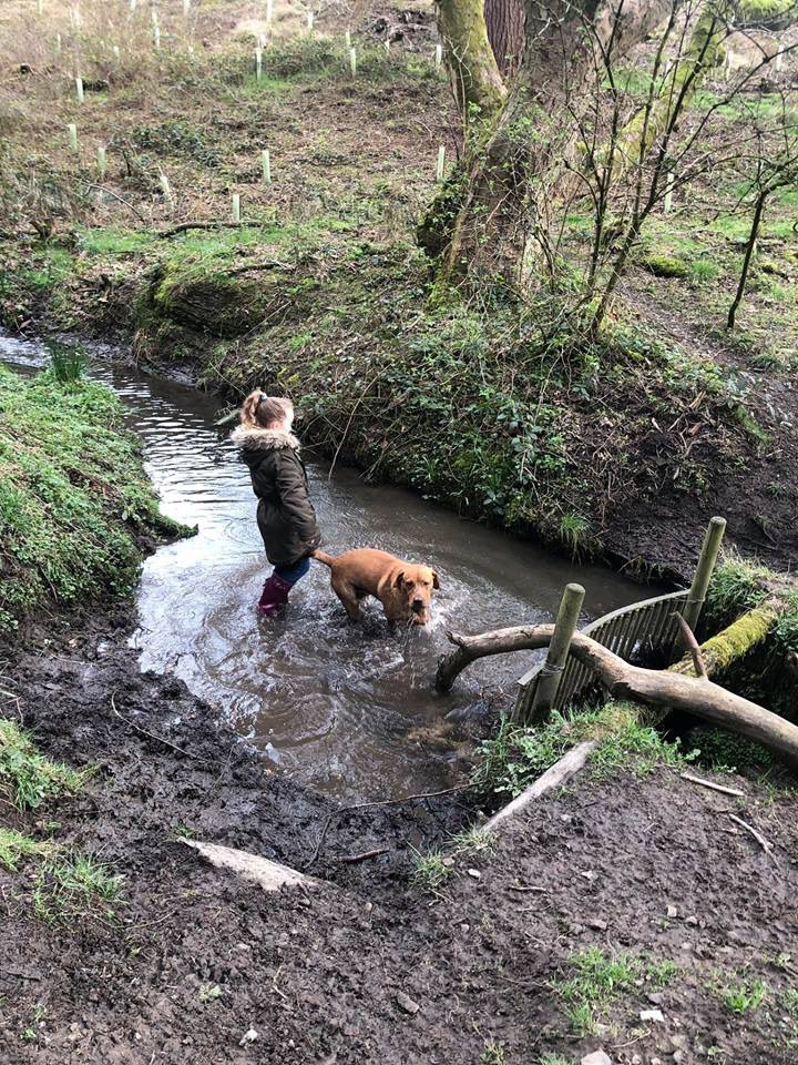 Doitlikedenbo's tweet image. All you need to de stress is family, phone down an out into the real world #redlab #family #Manchester