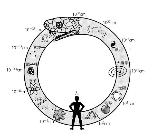 ねこっち 社会派大喜利 トーラス Torus ウロボロス 輪廻転生 無限地獄 のように思えます さらにタウラスは雄牛 バールの象徴 Toru や Taro は 無限の地獄 地獄の子 の象徴なのかもしれませんね T Co Xjoleel8n7