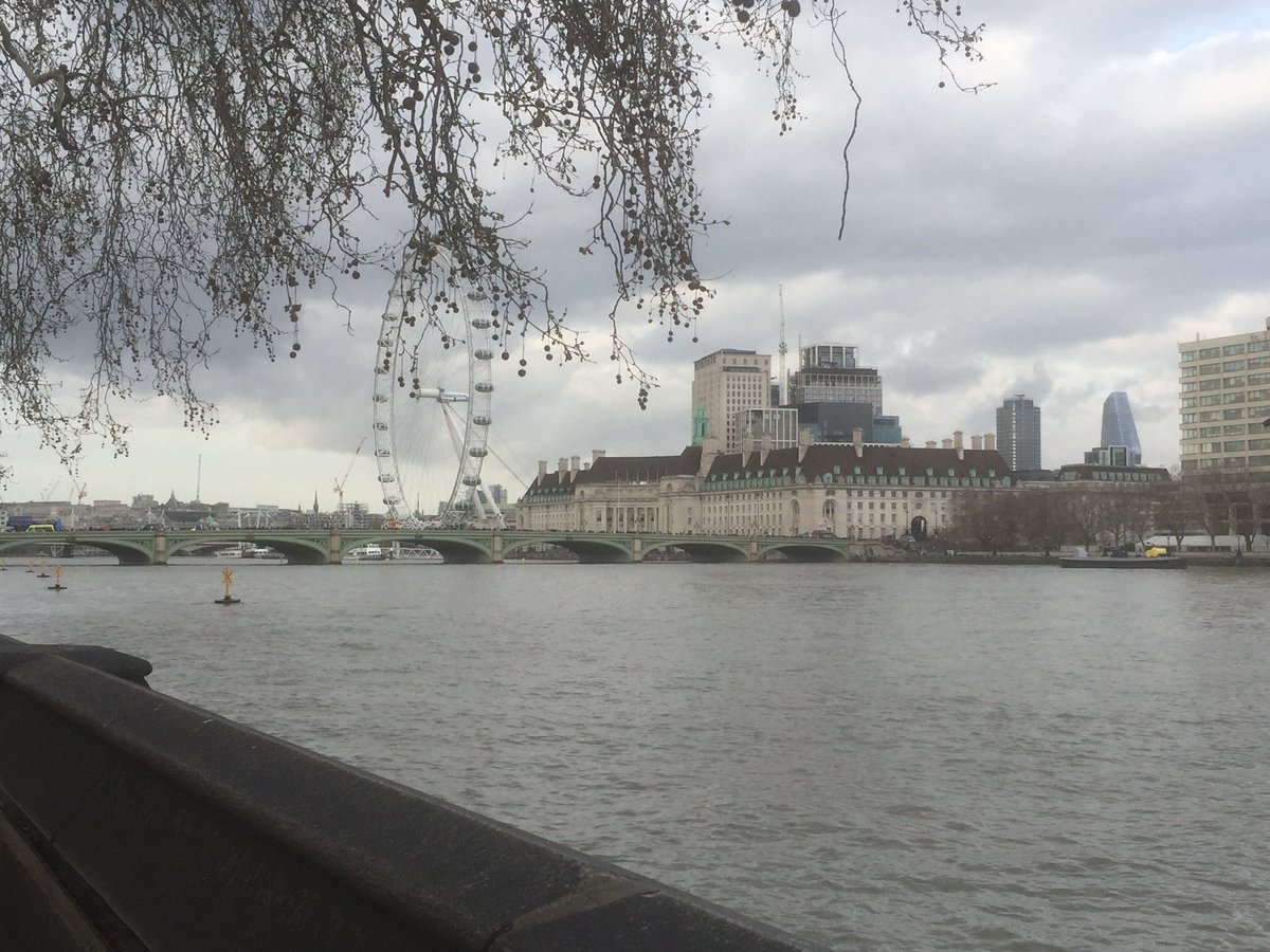 Well that was an experience for a first protest! #PeoplesVoteMarch
