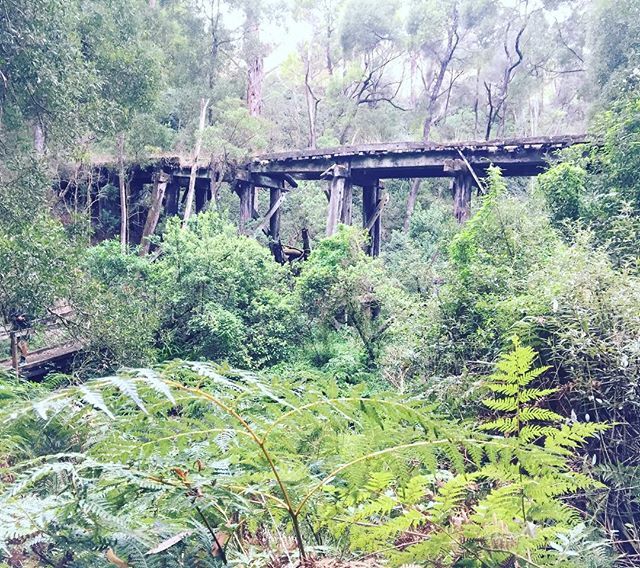 SimpleLivingBA's tweet image. Old railway bridge built in 1890 #oldbridge #fernyforest ift.tt/2YrSC42
