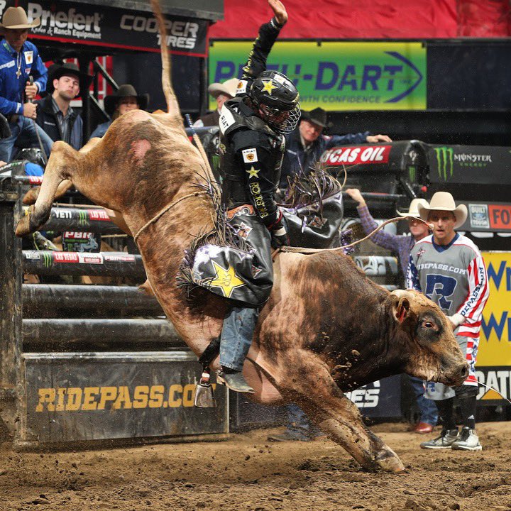 AmericanBuckingBull tweet media