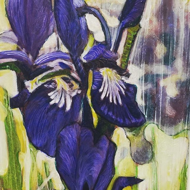 Vivid blues and muted violets echo the artist’s affection for Vincent vanGogh’s colors in this modestly sized painting, “Iris”, detail shown here. Ron Baviello personally planted these irises, sunflowers and more so that he could paint from the same gard… ift.tt/2Jzvs8w