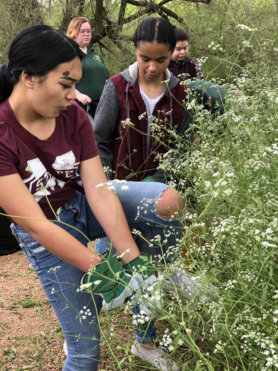 Patricia Stone-Reyes tweet media