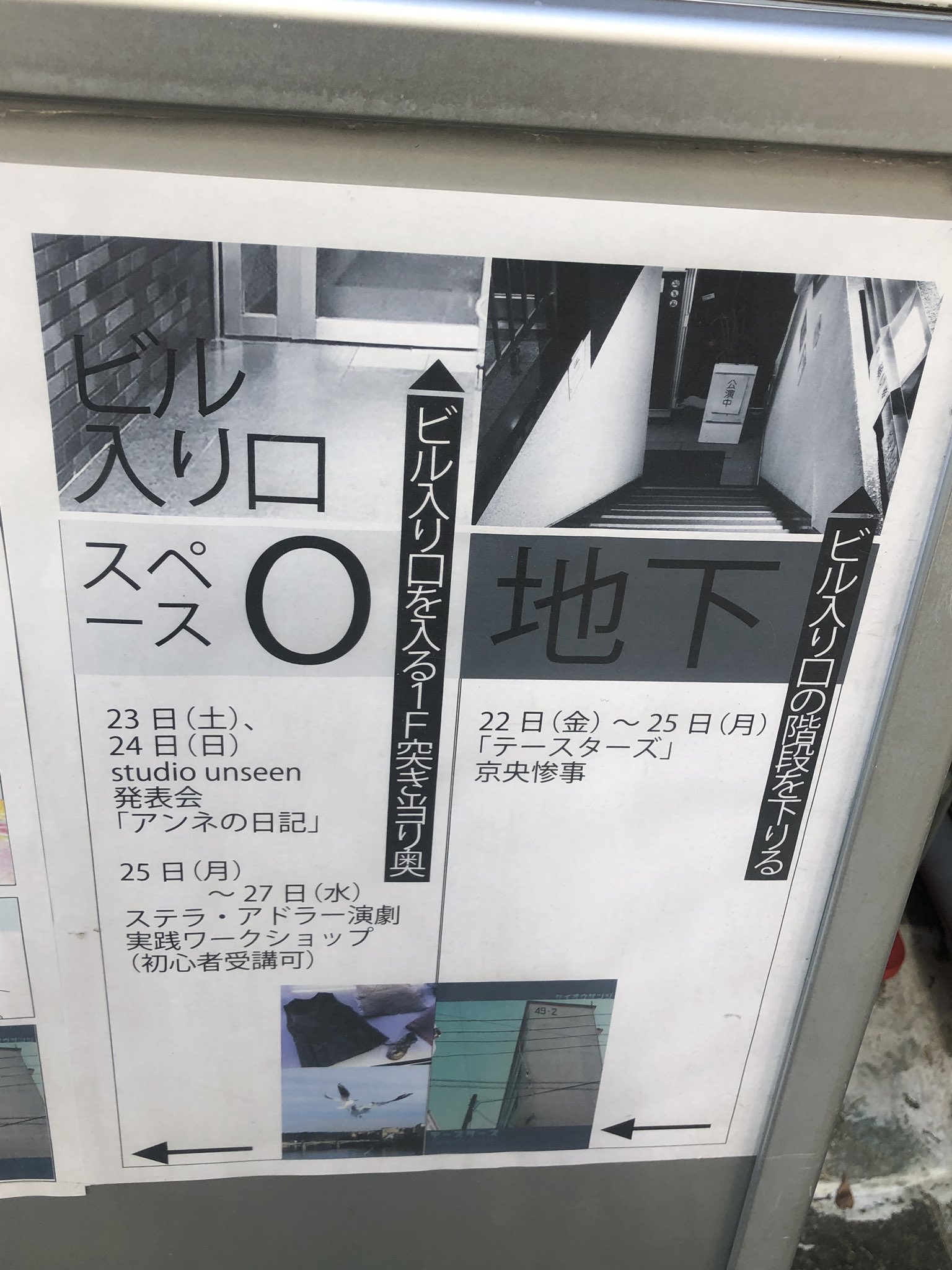 ステラアドラー Twitter Search Twitter