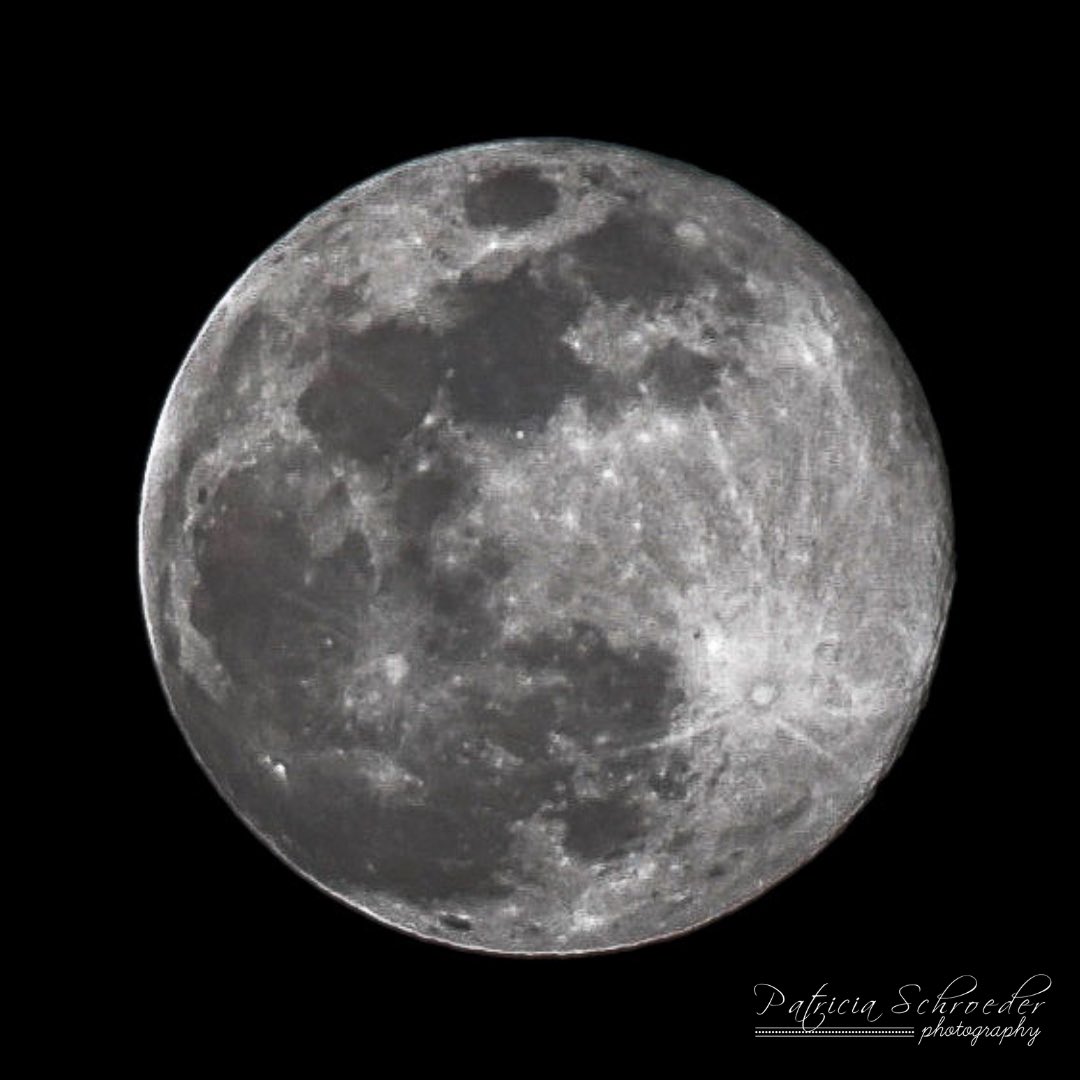 Justpkschroeder's tweet photo. I’ve been a little obsessed with taking photos of the 🌚🌝! #fullmoon #nikon #kitcamera https://t.co/CDEBzV1rB8
