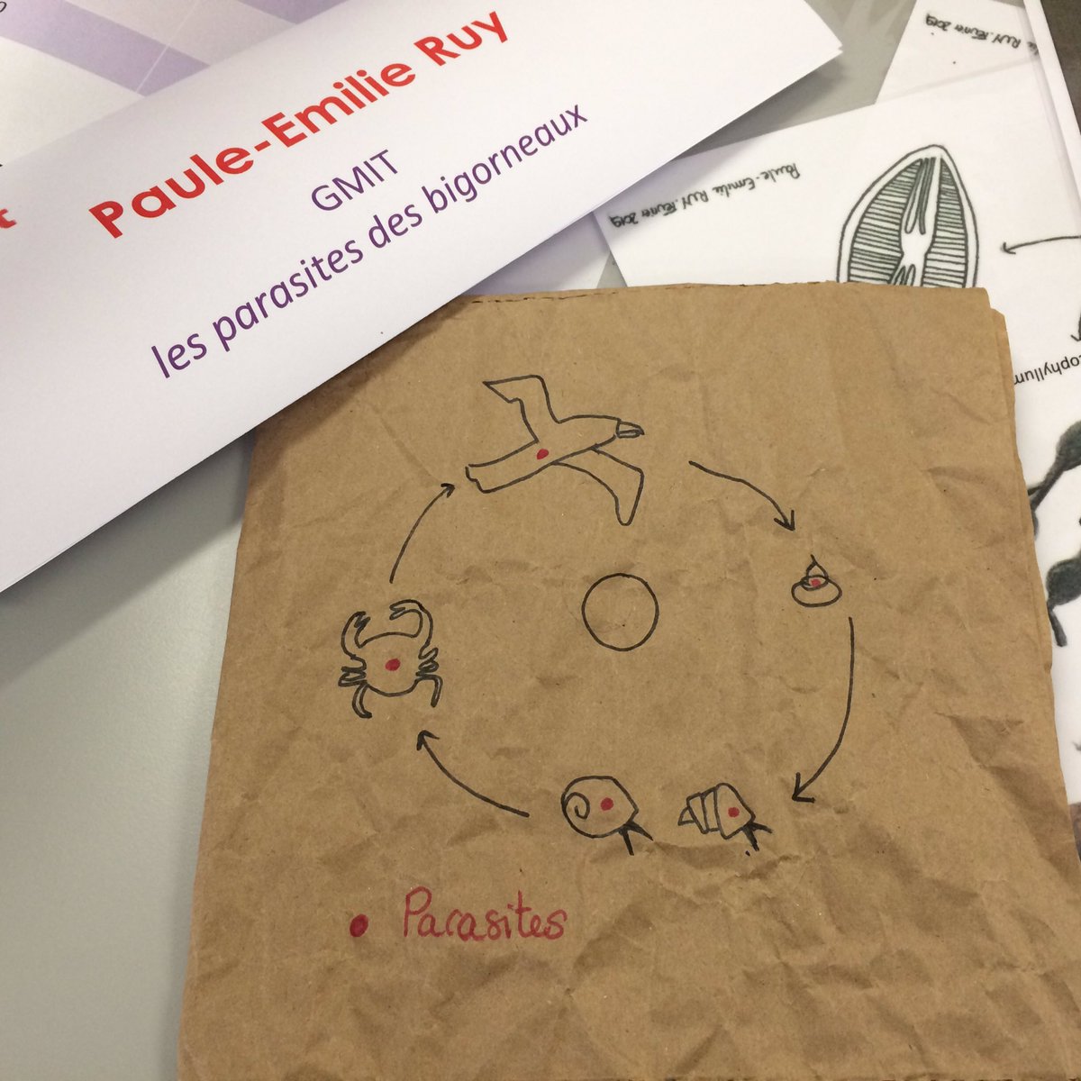 Cellexplorers's tweet image. #nativescientist Paule-Emilie explained how to identify periwinkles &amp;amp; how a parasite changes their behaviour to for the benefit of its life cycle. #FrancophonieFestival @FranceinIreland @Francophon_IE @GMITOfficial @NativeScientis1 #Believeinscience #scienceinfrench