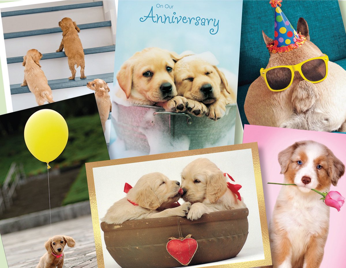 ViabellaGC's tweet photo. Happy National Puppy Day! We are celebrating with Viabella's Portal cards. Use our store locator to find a selection near you, https://t.co/RldeKbdCa8. Show us your favorite puppy pics! https://t.co/x2aNaKDAWl
