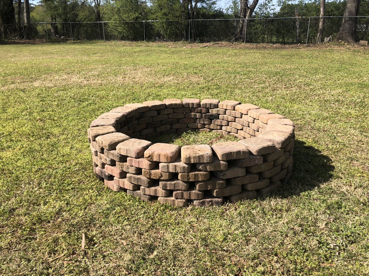 Haley Rowe tweet media