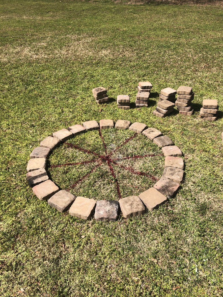 Haley Rowe tweet media