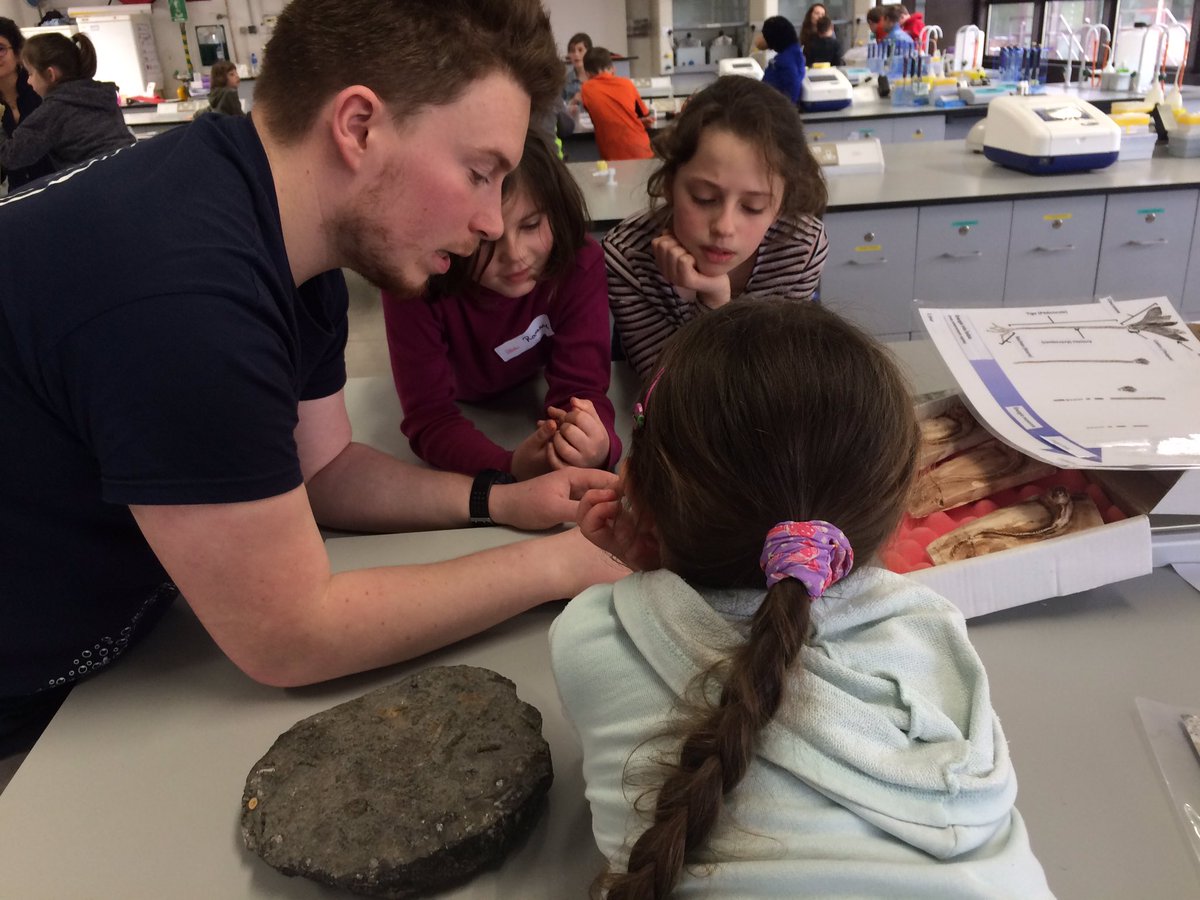 Cellexplorers's tweet image. #nativescientist Ruaihri explained what we can learn from fossiles and what they tell us about the environment they were in when they were created! #FrancophonieFestival @FranceinIreland @Francophon_IE @EOS_NUIG @NativeScientis1 #Believeinscience #scienceinfrench