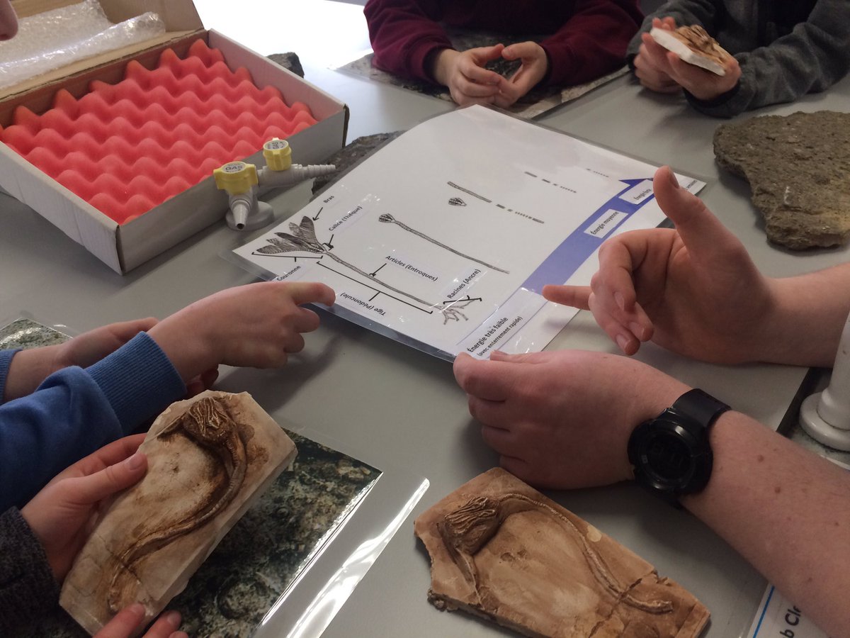 Cellexplorers's tweet image. #nativescientist Ruaihri explained what we can learn from fossiles and what they tell us about the environment they were in when they were created! #FrancophonieFestival @FranceinIreland @Francophon_IE @EOS_NUIG @NativeScientis1 #Believeinscience #scienceinfrench