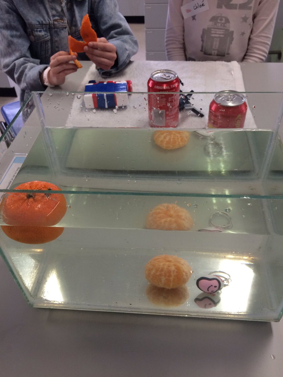 Cellexplorers's tweet image. #nativescientist Liam demonstrated and discussed buoyancy and why it matters to boats, divers or marine life! #FrancophonieFestival @FranceinIreland @Francophon_IE @EOS_NUIG @NativeScientis1 #Believeinscience #scienceinfrench