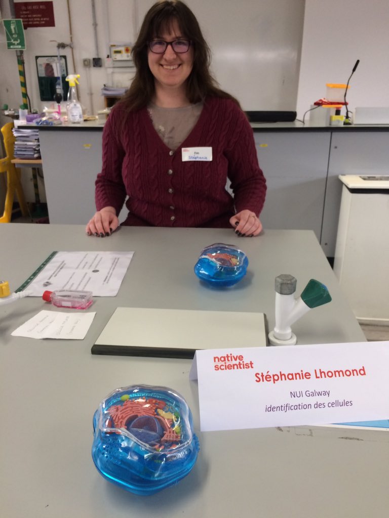 Cellexplorers's tweet image. #nativescientist Stephanie explained the strategies used by scientists to identify malfunctionning cells in diseases and to target them for treatment #FrancophonieFestival @FranceinIreland @Francophon_IE @ARCresearchNUIG @NativeScientis1 #Believeinscience #scienceinfrench