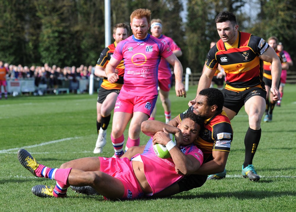 Andy Todd Photography tweet media