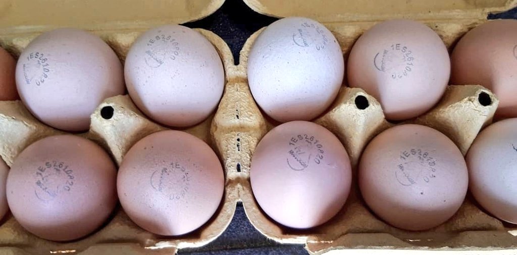 PAKEBEAS's tweet photo. Y qué vivan los Huevos Camperos #valledeocon #Huevocón #huevos #LosMolinosdeOcón #Elpueblode ..... https://t.co/WIxTyn4xqM