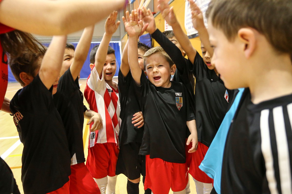 🍼⚽️ Palau-solità i Plegamans enceta el cap de setmana de les promeses fcf.cat/noticia/palau-… #PromesesFS #DebutantsSala