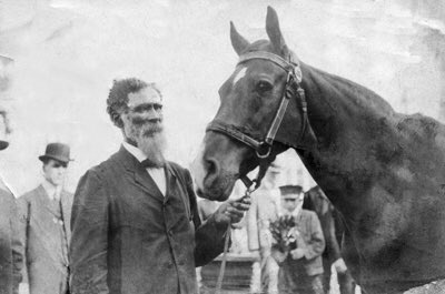ZHEbuzz's tweet photo. With kindness, anything is possible!  Just take a look at what Doc was able to teach Jim, a horse most would have dismissed! @donnajbbwrites @TBABooks #jimkey #kindness 19 out of 20 #bluebonnetbooks read! https://t.co/B1l1m0WwB9