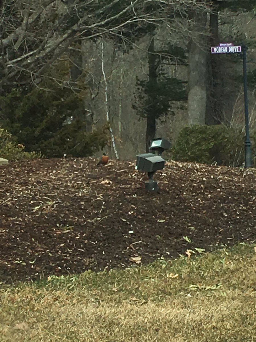 #stonehillbiodiversity