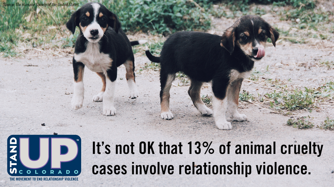 CoSSRC's tweet photo. On #NationalPuppyDay, we take a pause from the cute pics to recognize all of those affected by relationship violence. #StandUpStats #StandUpCO
#schoolsafety #cssrc https://t.co/Cr7BaspJKt