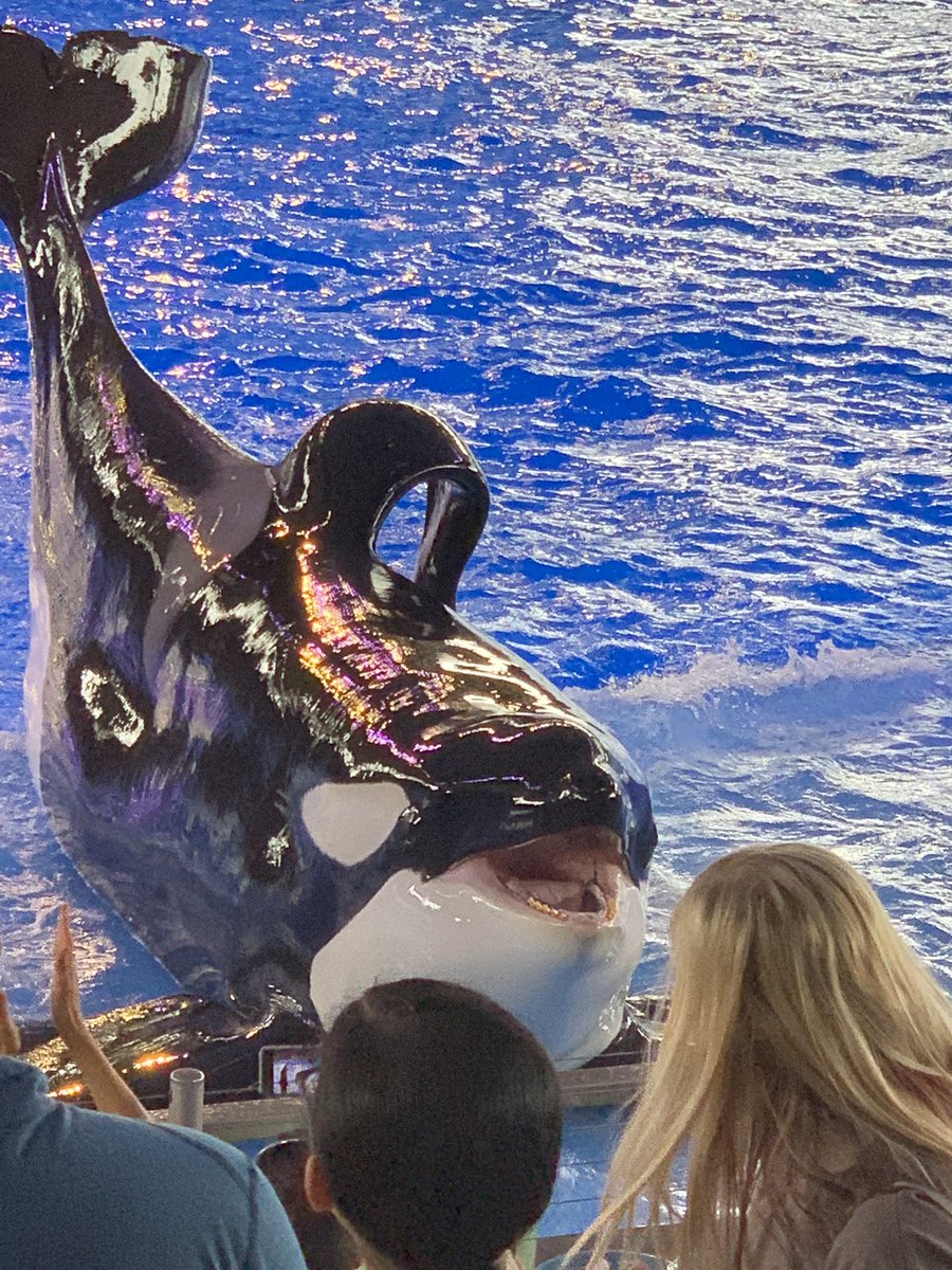 BernierSmith's tweet photo. @ncmpr_national Send the day at Sea World. #NCMPR19; # photo contest. Part 1 https://t.co/9Ufg6GCbLb