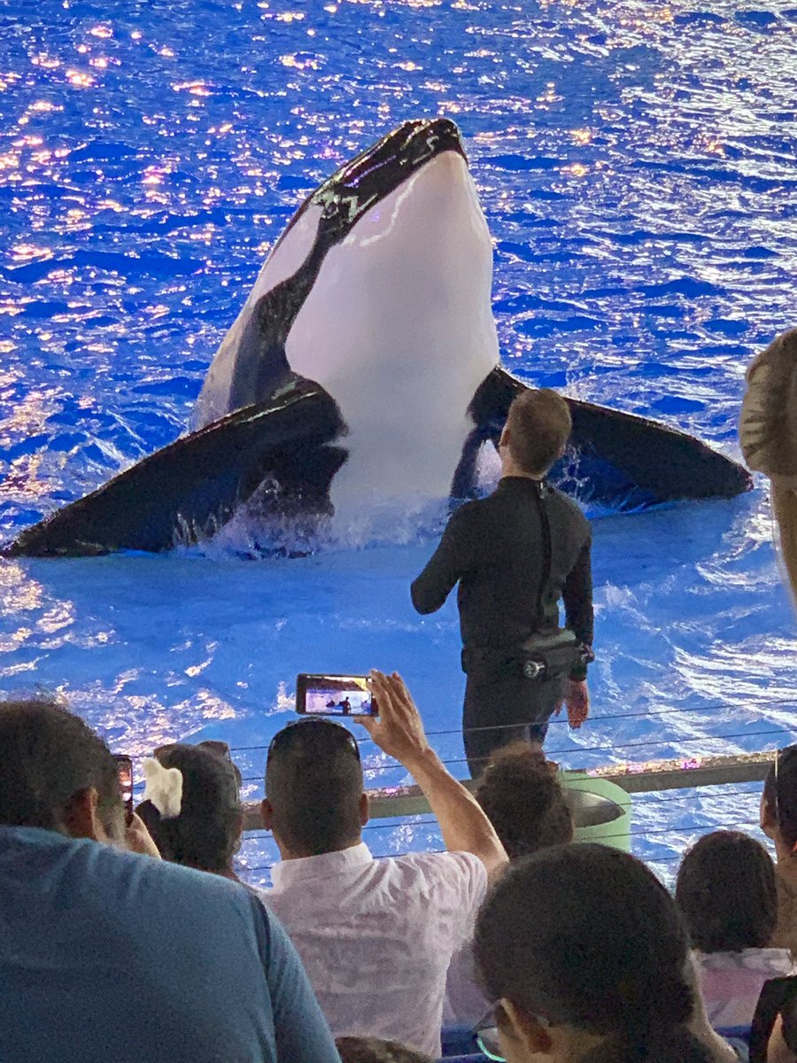 BernierSmith's tweet photo. @ncmpr_national Send the day at Sea World. #NCMPR19; # photo contest. Part 1 https://t.co/9Ufg6GCbLb