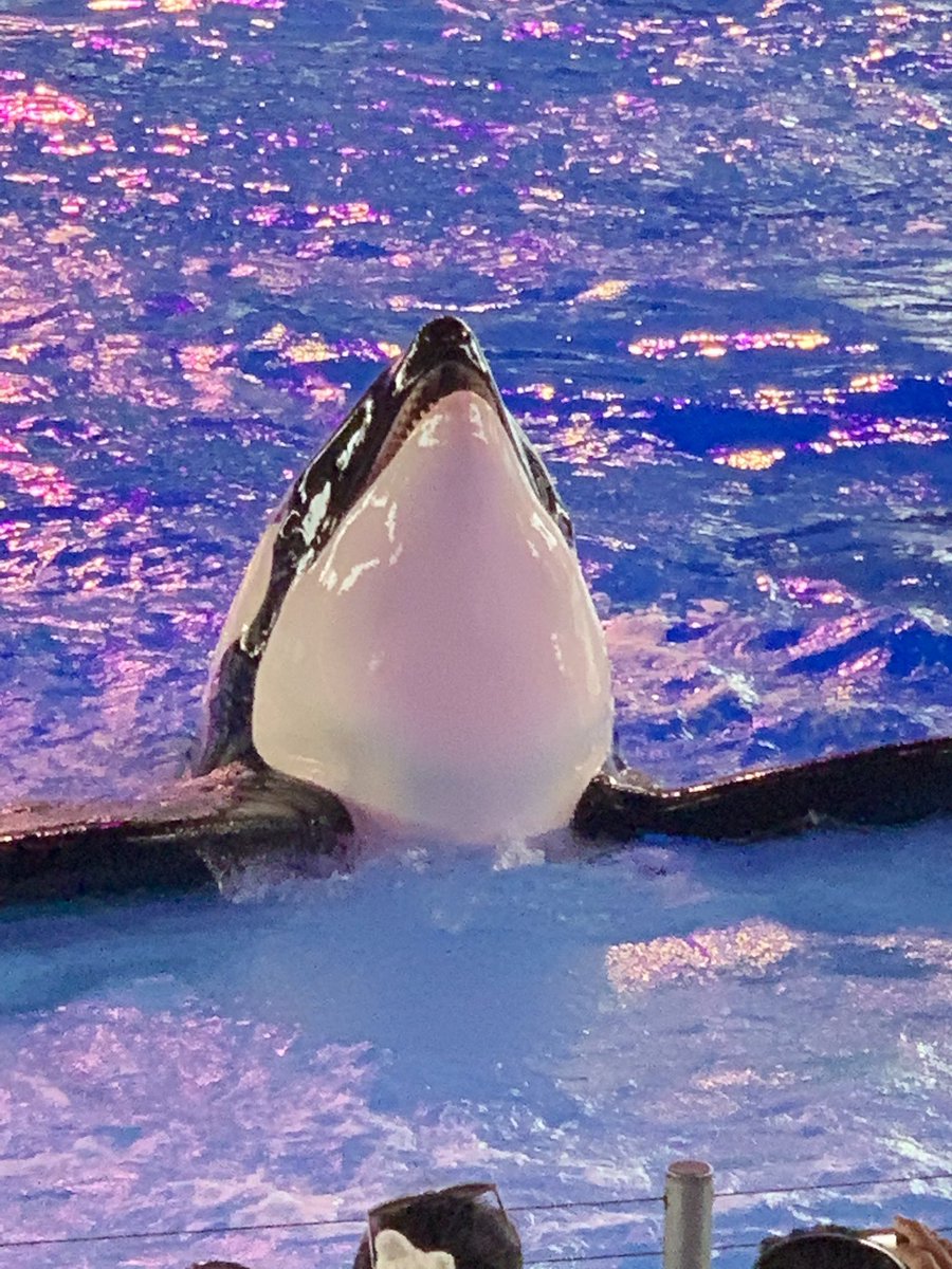 BernierSmith's tweet photo. @ncmpr_national #NCMPR19 #photocontest part 2 https://t.co/6oboYziIYs