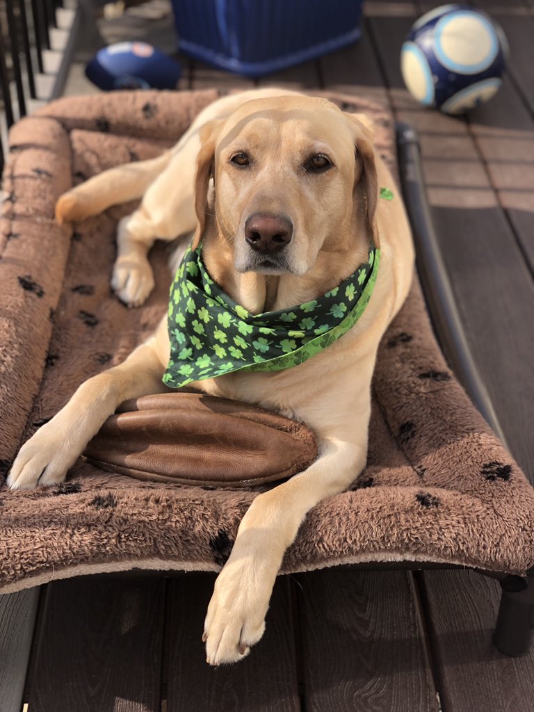 Pat Malick tweet media