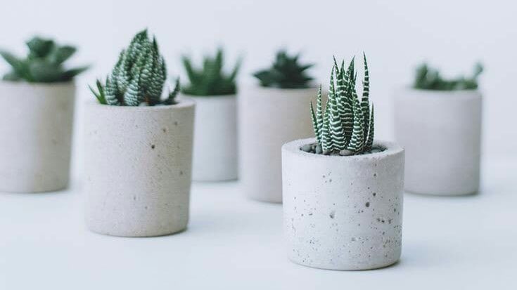 Junhee’s voice as aesthetic pictures that don’t really make sense but somehow do