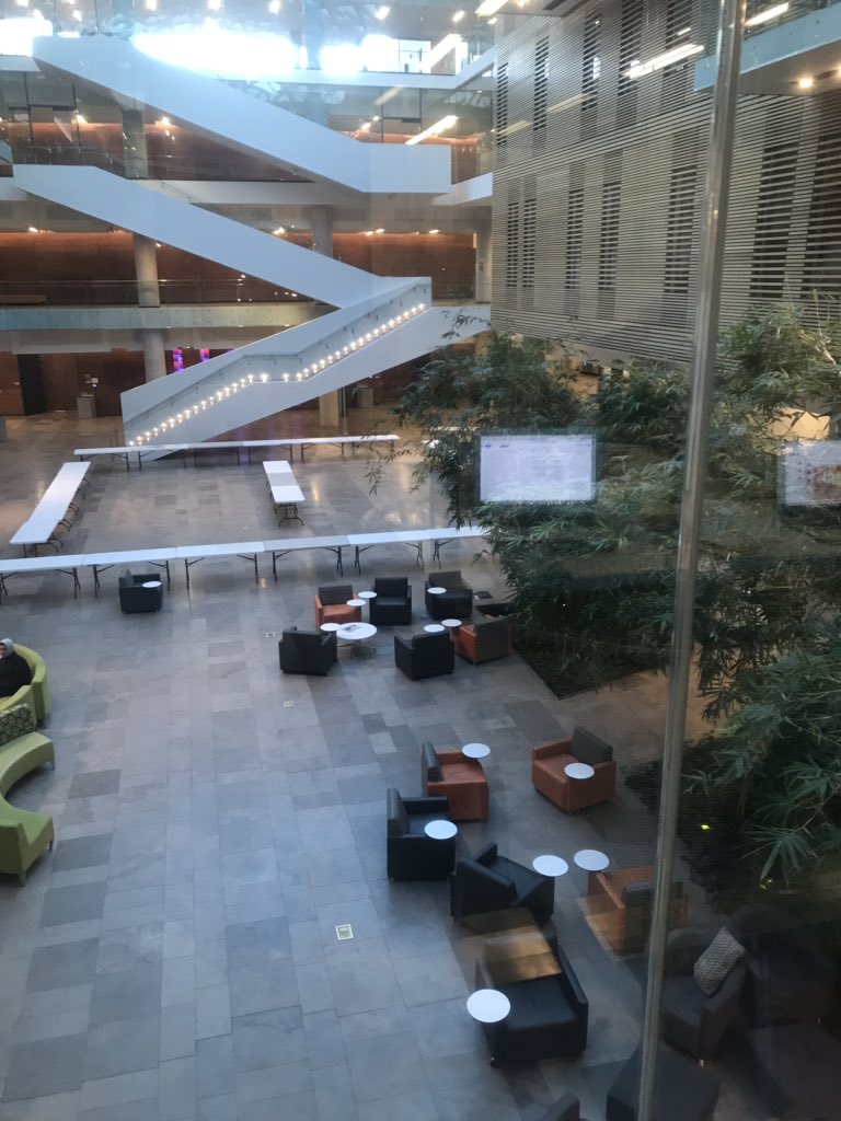 Thrive65ICE's tweet photo. @ICETEAM171 Have y’all already started hiding? #GhostTown https://t.co/OArkNPFVFG