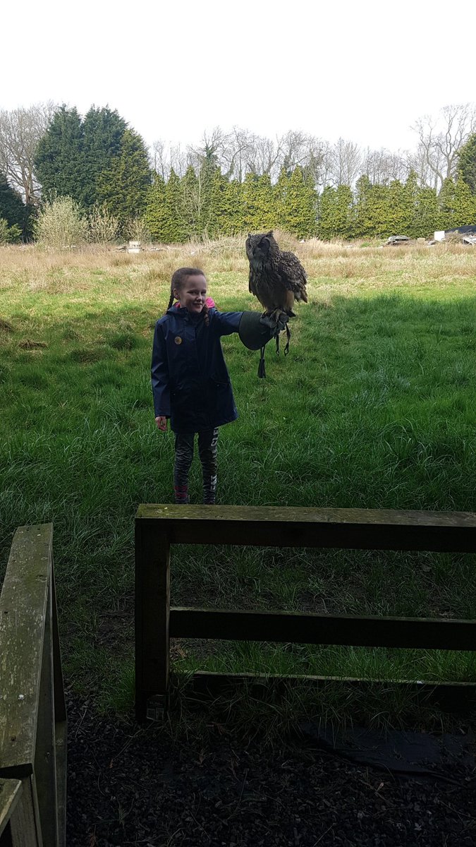 Turbary Woods Owl Sanctuary 49thliverpoolbb.wordpress.com/2019/03/23/tur…