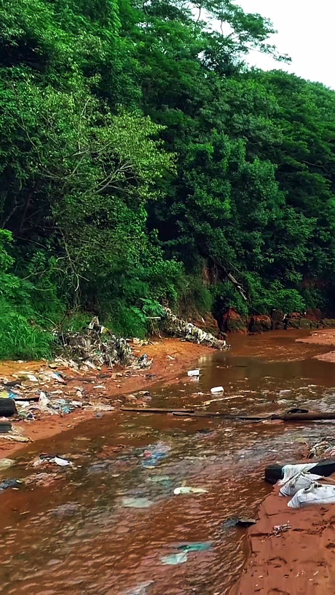 Petropargov's tweet photo. Parte del Arroyo Fortín libre de basuras! Te mostramos el antes y el después para que seamos conscientes que de nosotros depende conservar el medio ambiente! 

Si se puede!! Sumate a @revivepy y estiremos todos para el mismo lado!!  💪

#Petropar ⛽ #Ñanembae 🇵🇾 #Revive.py ♻ https://t.co/Fjze6SbbIK
