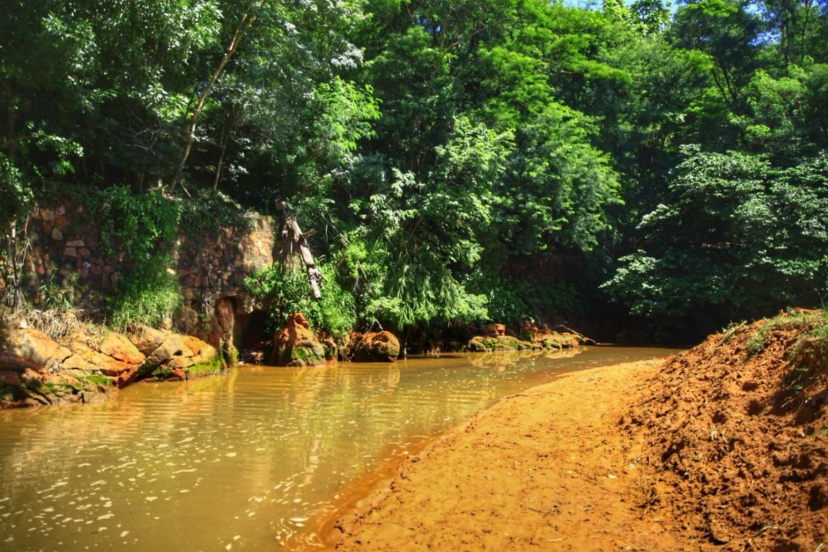 Petropargov's tweet photo. Parte del Arroyo Fortín libre de basuras! Te mostramos el antes y el después para que seamos conscientes que de nosotros depende conservar el medio ambiente! 

Si se puede!! Sumate a @revivepy y estiremos todos para el mismo lado!!  💪

#Petropar ⛽ #Ñanembae 🇵🇾 #Revive.py ♻ https://t.co/Fjze6SbbIK