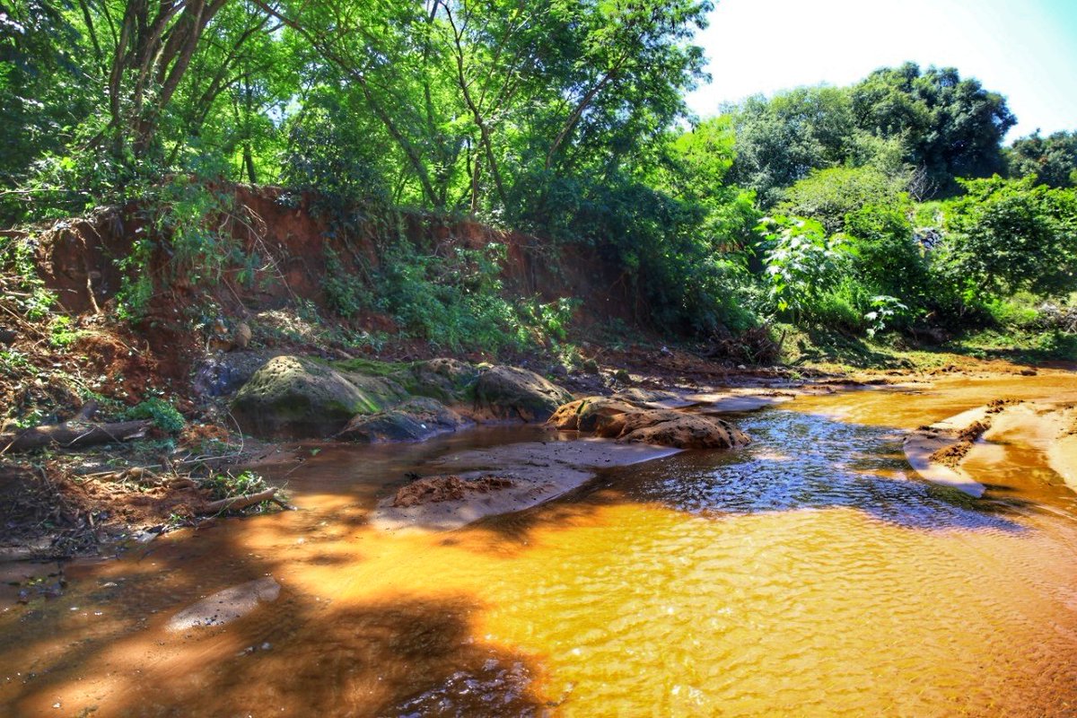 Petropargov's tweet photo. Parte del Arroyo Fortín libre de basuras! Te mostramos el antes y el después para que seamos conscientes que de nosotros depende conservar el medio ambiente! 

Si se puede!! Sumate a @revivepy y estiremos todos para el mismo lado!!  💪

#Petropar ⛽ #Ñanembae 🇵🇾 #Revive.py ♻ https://t.co/Fjze6SbbIK