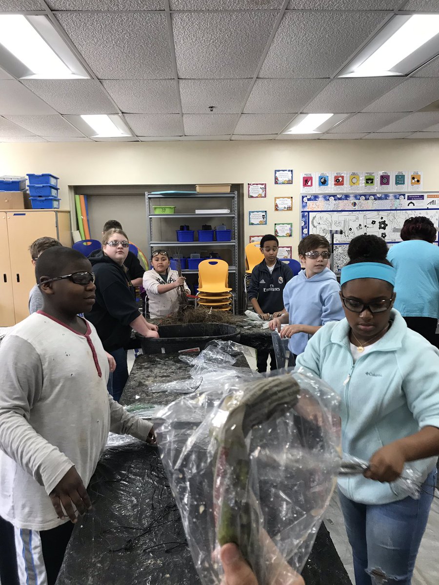 ScncTeacher2015's tweet photo. Students helping Living Lands and Waters wrapping trees for the Million Tree Project #MillionTreesProject @GlenviewEMSD https://t.co/7qowKMwmvh