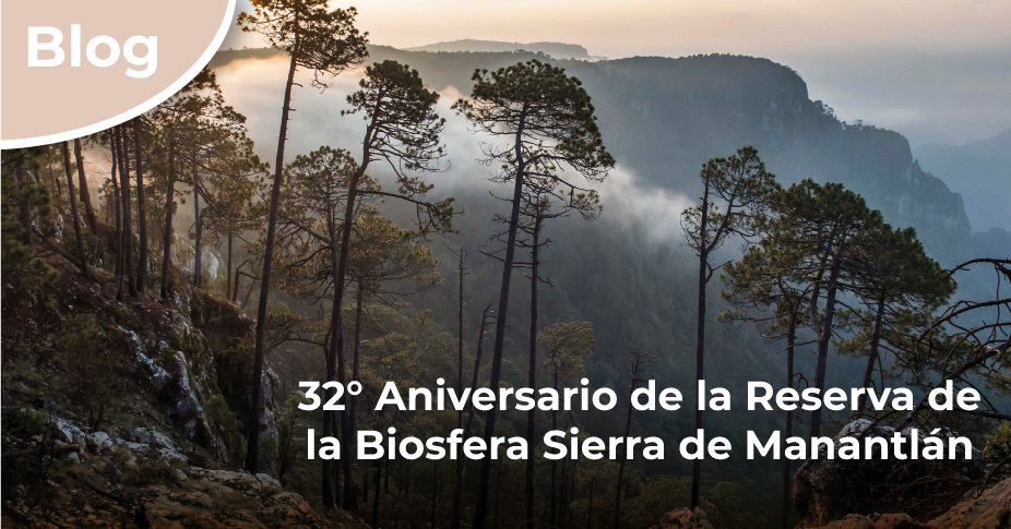 CONANP_mx's tweet photo. La Reserva de la Biosfera Sierra de Manantlán, en #Jalisco y #Colima, abastece de agua a más de 430 mil habitantes en la región. Conoce más de este bello lugar en nuestro #Blog ➡️ https://t.co/XZHnSeBG7N #ConéctateConLaNaturaleza 🌊🌿🌲💧🌱 https://t.co/A4iqDuILSJ