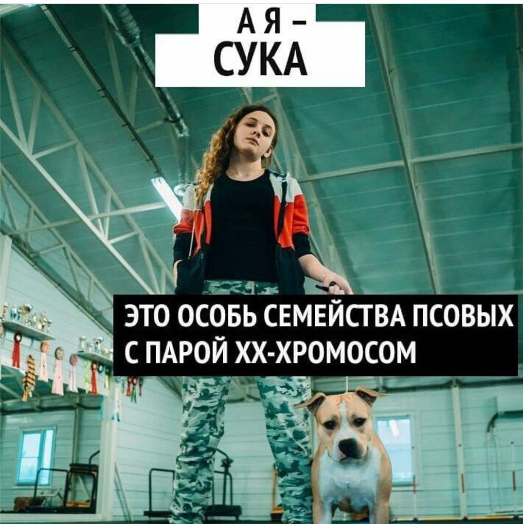 brainwasher666's tweet photo. Огромное спасибо нелепому сетевому активизму за то, что он существует, и жестокому патриархальному интернету за то, что не даёт первому скучать 💔💔💔 https://t.co/neCjKmRE7R