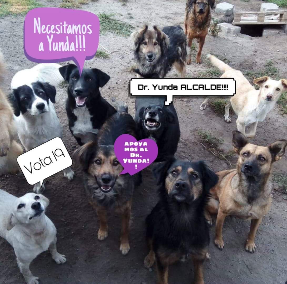 EDUNIZA's tweet photo. @LilianaYunda @LoroHomero Todo 19 https://t.co/NBnUEj0REz